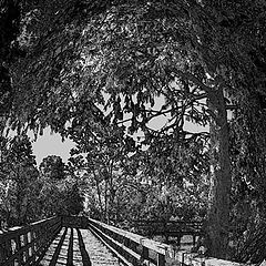 photo "Boardwalk"