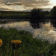 photo "Sunset for two flowers"