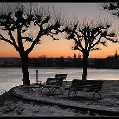 photo "Rhine River in December"