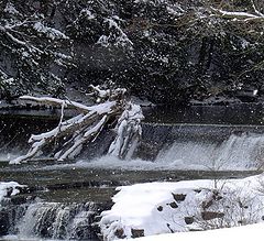 фото "Winter South Plymouth New York"