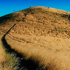 photo "A Hill"