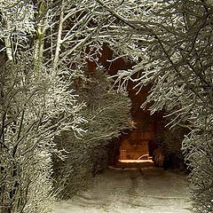 photo "Night court yard"