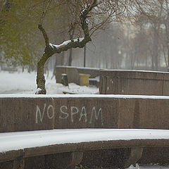 фото "No Spam"