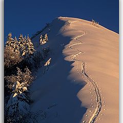 photo "Going up to Grappa peak"