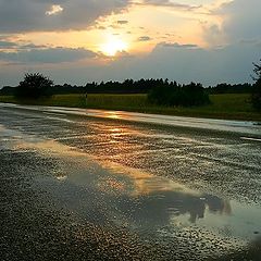 photo "after rain..."