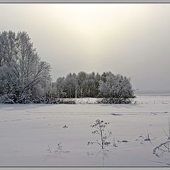 фото "Морозный   день"