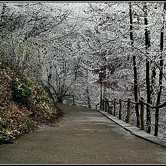 photo "The Way to the Winter Fairy Tale"