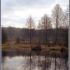 фото "Брод"