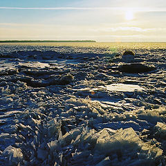 photo "Ice"