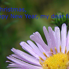 photo "Happy New Year....!!!"