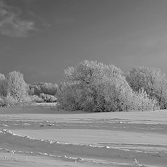 photo "Winter landscape"