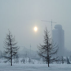 photo "The Siberian Sun"