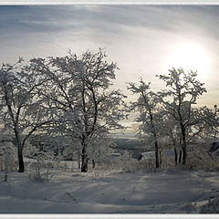 фото "Зимние зарисовки"