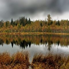 фото "Лесное озеро Копанец."