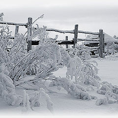 photo "Winter`s picture"