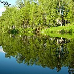 фото "Свет мой, зеркальце..."