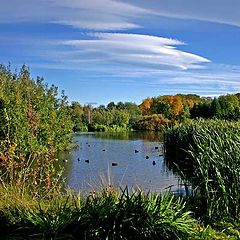 photo "Fall of 2004 in Trondheim"