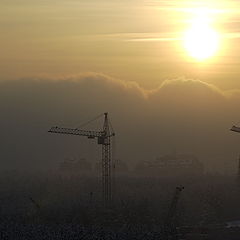 фото "Великаны"