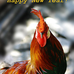 photo "Happy New Year!"