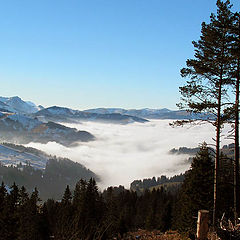 фото "Декабрь"