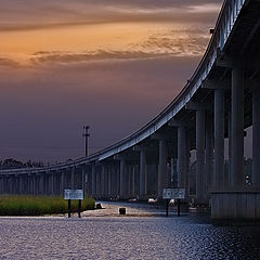 photo "Under the bridge"