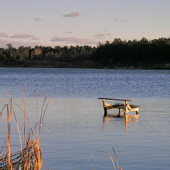 photo "bench"