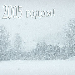 фото "С Новым 2005 годом!"