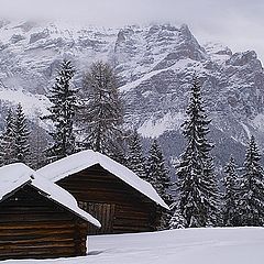 photo "Winter in Dolomiti"