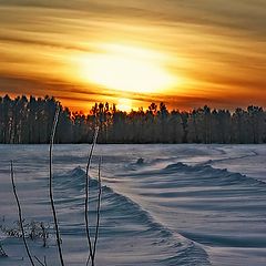 photo "Winter evening"