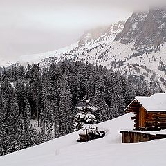 photo "House in the snow"