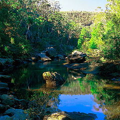 photo "Jellybean Pool"