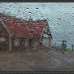 photo "All the day a rain"