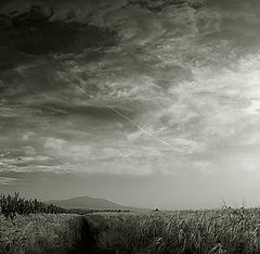 photo "mountain of dust"