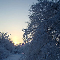 фото "закат"