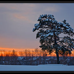 фото "On Sleeping Village"