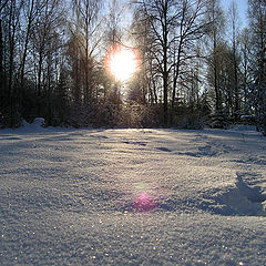 photo "Footsteps"