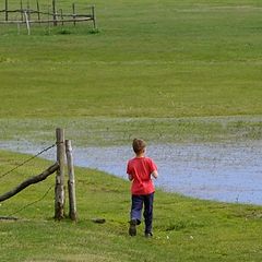 photo "GRASSLAND"