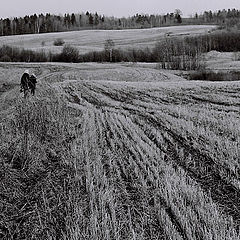 фото "ПРОСТОРЫ."