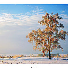 фото "Рождество"