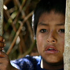 фото "Руки мальчика. Перу."