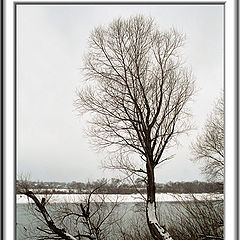 photo "Winter on the river"