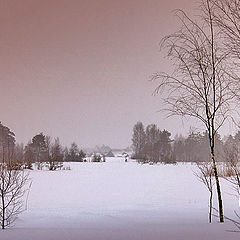 photo "Winter lake"