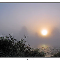 фото "Great mist"