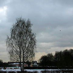 photo "Winter in Kuskovo"