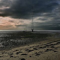 photo "Stannding tall and waiting for the storm"