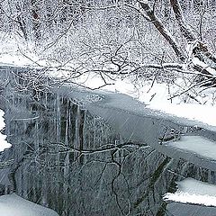 фото "Начало зимы"