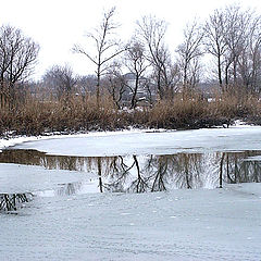 photo "Январьская a thawing weather"