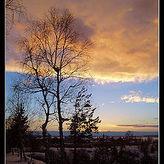 photo "Leaving winter day..."