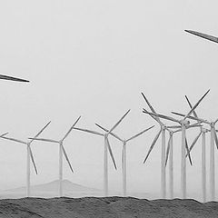 photo "Wind-driven generators"