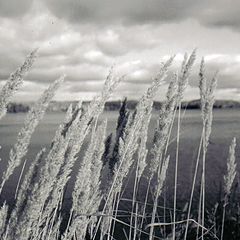 фото "autum skies"